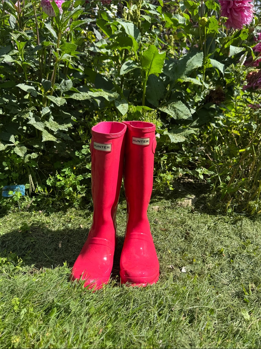 Hunter Bright Pink Tall Women's Rain Boots